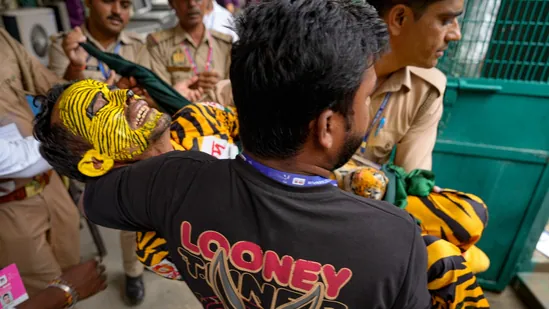 Bangladesh super fan Tiger Roby retracts assault claim during Kanpur Test after Police denies allegations