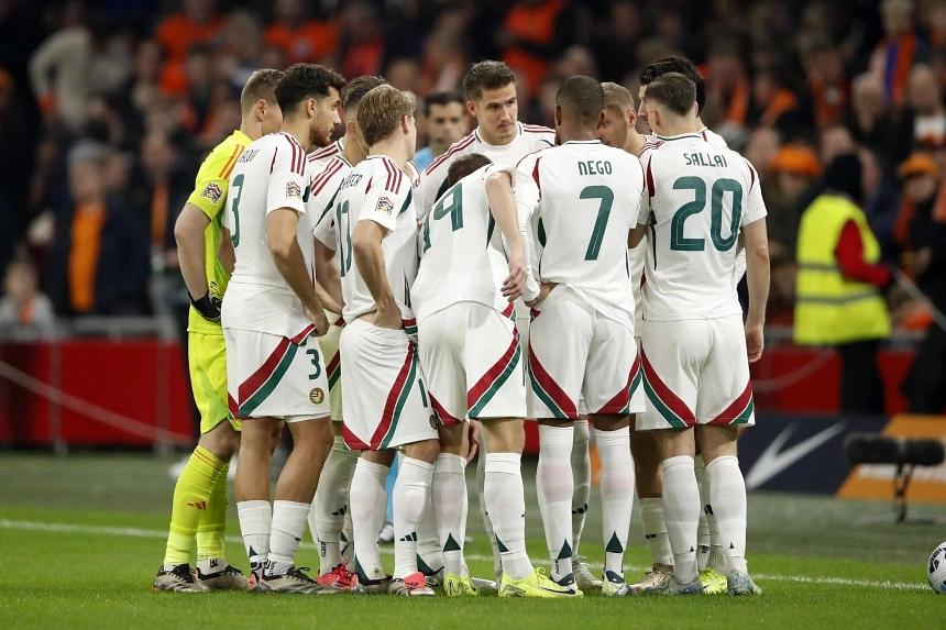 Dutch skipper Virgil van Dijk commends Hungary for their sportsmanship after coach falls ill